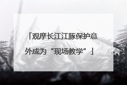观摩长江江豚保护意外成为“现场教学”